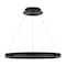 Dweled Sirius 24in LED Pendant 3000K in Black PD-811 - alternate 3